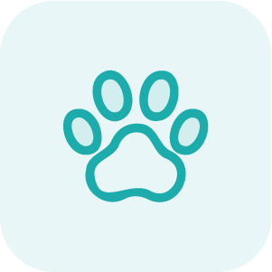 ico modulo eterno animali